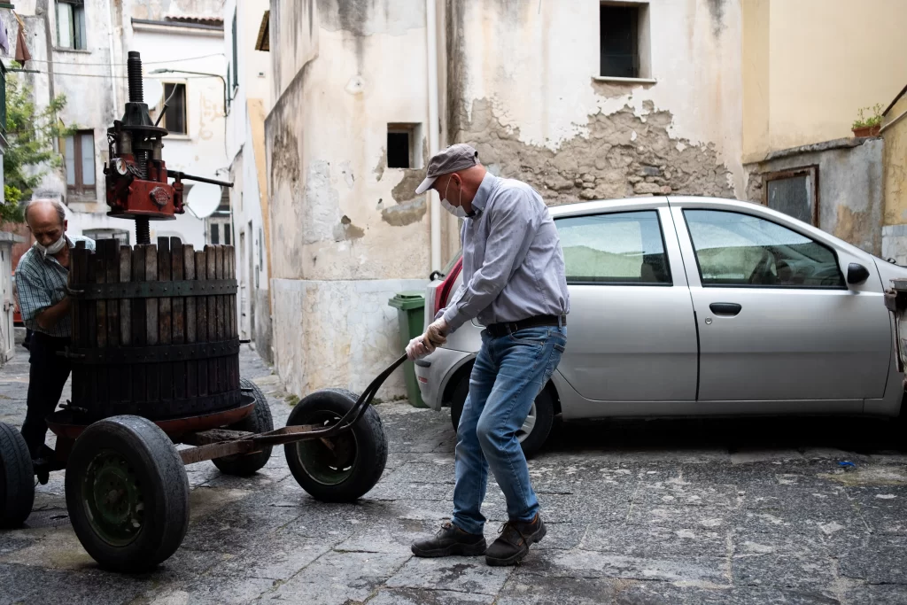 Specialista organizza il macchinario per la produzione di vino.