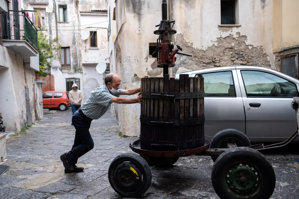 Specialista organizza il macchinario per la produzione di vino.